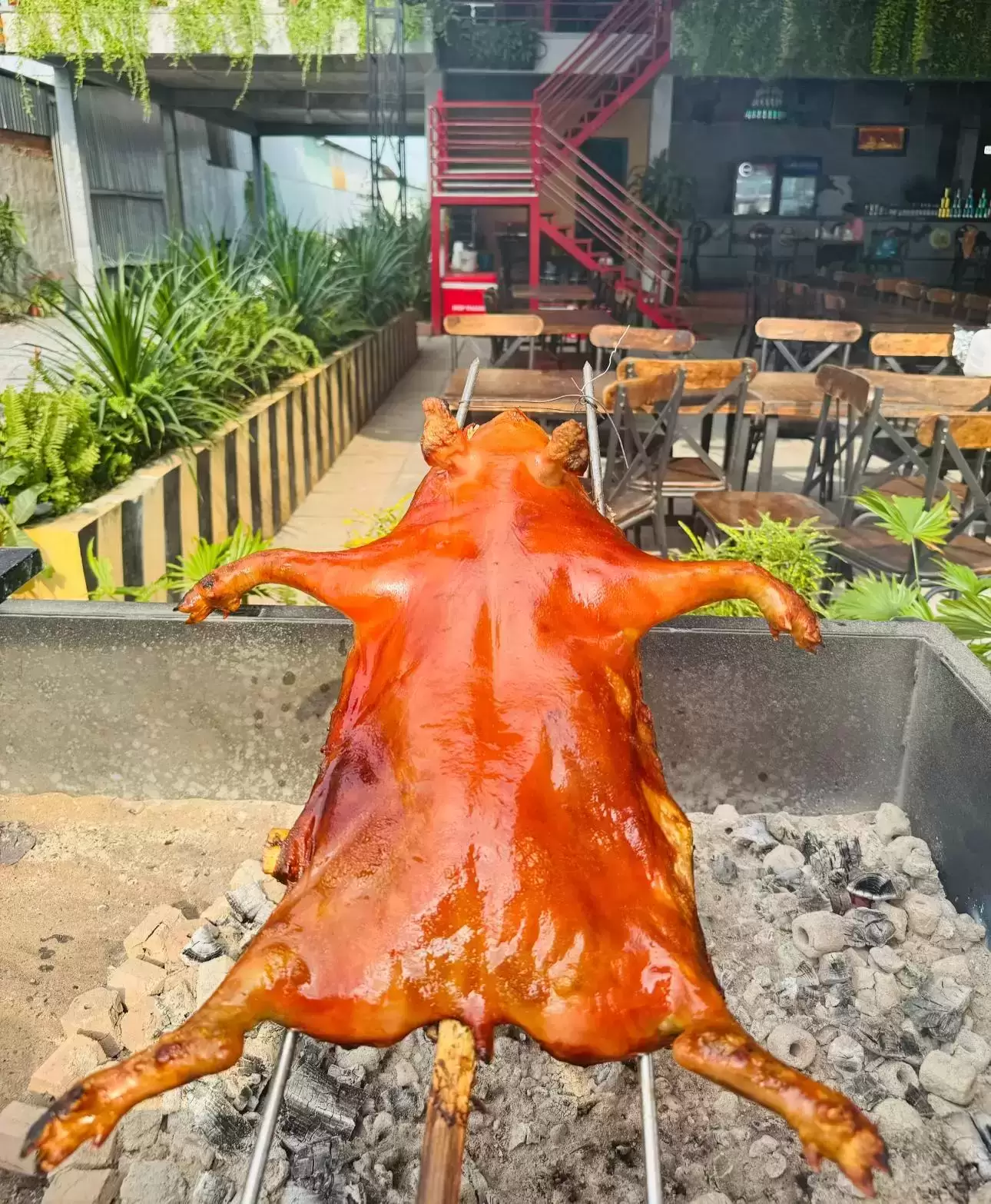 Lò Heo Quay VIFOOD Tại Quận 12 – Giao Tận Nơi, Mâm Lễ Đẹp, Heo Quay Da Giòn Thơm Ngon