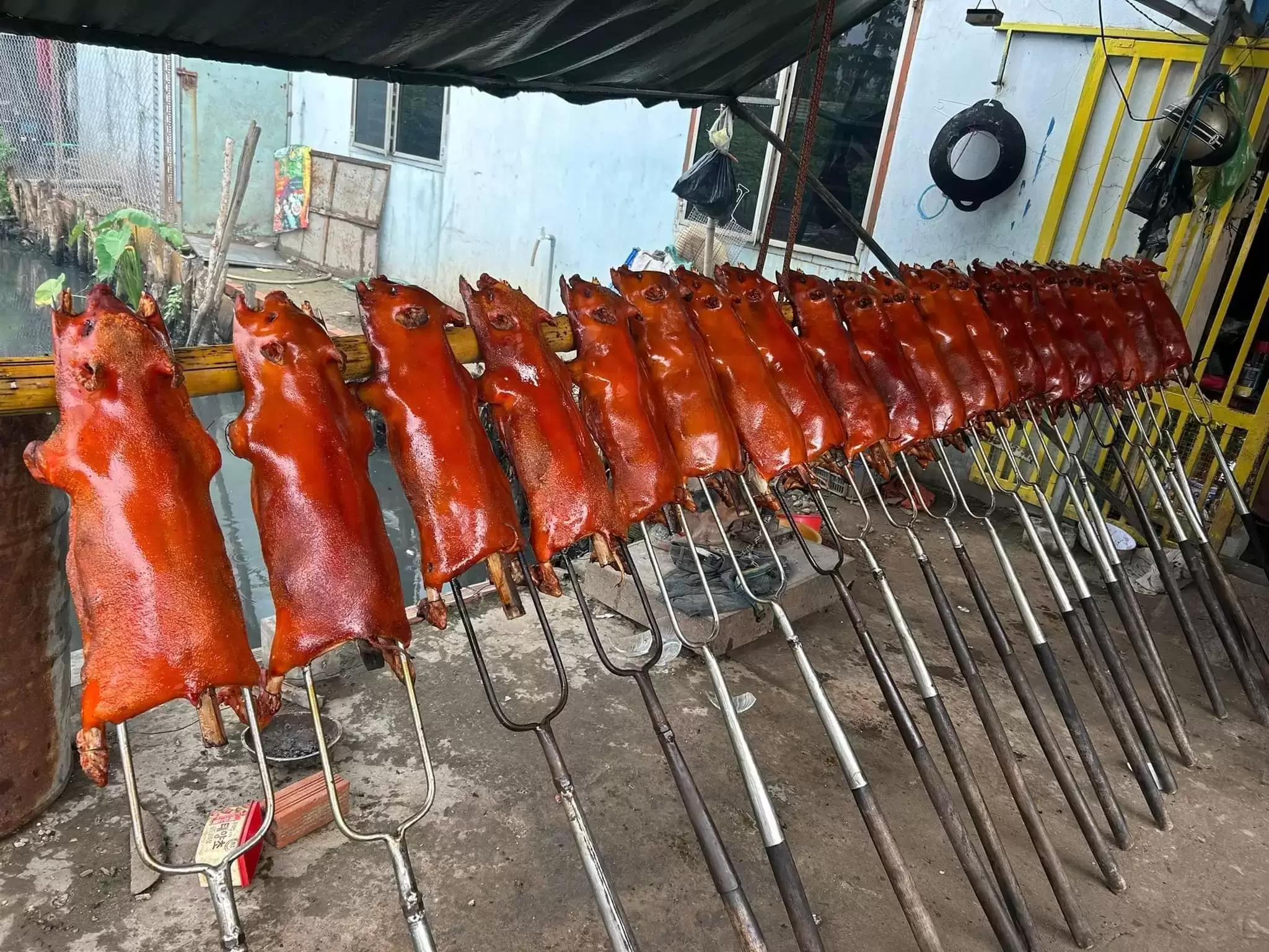 Lò Heo Quay VIFOOD Tại Quận 4 – Giao Tận Nơi, Heo Da Giòn – Lễ Mâm Đẹp – Giá Cạnh Tranh
